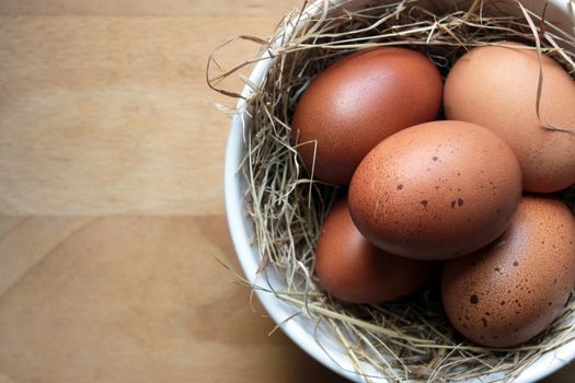 Five freshly laid organic speckled brown eggs, set in a white ceramic bowl with straw. Set on a wooden soft focus wooden background. Copy space available to left side of image.