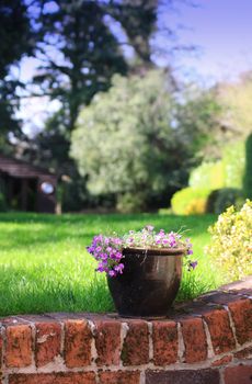 A brown ceramic plant pot containing small purple flowers set on top of a brick constructed garden wall, set against a rural garden background set in soft focus.