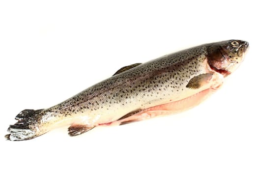 a raw trout on a white background