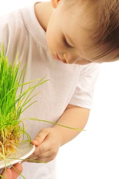 little boy with green grass  isolated on white 