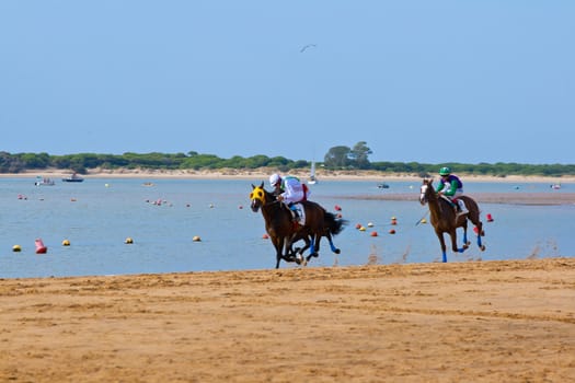 SANLUCAR DE BARRAMEDA, CADIZ, SPAIN - AUGUST 11: Unidentified riders race horses on Sanlucar de Barrameda beach on August 11, 2011 in Sanlucar de Barrameda, Cadiz, Spain.