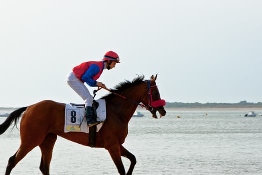 SANLUCAR DE BARRAMEDA, CADIZ, SPAIN - AUGUST 11: Unidentified rider at the start of race horses on Sanlucar de Barrameda beach on August 11, 2011 in Sanlucar de Barrameda, Cadiz, Spain.