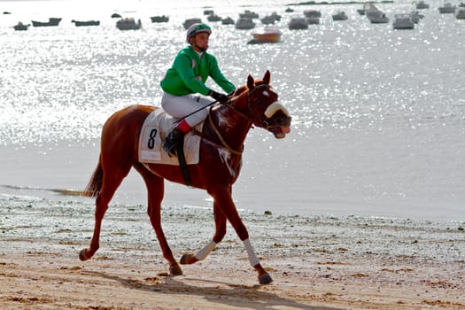 SANLUCAR DE BARRAMEDA, CADIZ, SPAIN - AUGUST 10: Unidentified rider at the start of race horses on Sanlucar de Barrameda beach on August 10, 2011 in Sanlucar de Barrameda, Cadiz, Spain.