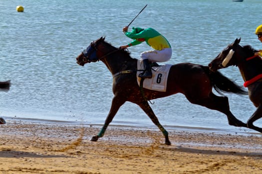 SANLUCAR DE BARRAMEDA, CADIZ, SPAIN - AUGUST 10: Unidentified riders race horses on Sanlucar de Barrameda beach on August 10, 2011 in Sanlucar de Barrameda, Cadiz, Spain.