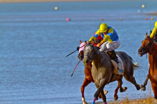 SANLUCAR DE BARRAMEDA, CADIZ, SPAIN - AUGUST 10: Unidentified riders race horses on Sanlucar de Barrameda beach on August 10, 2011 in Sanlucar de Barrameda, Cadiz, Spain.