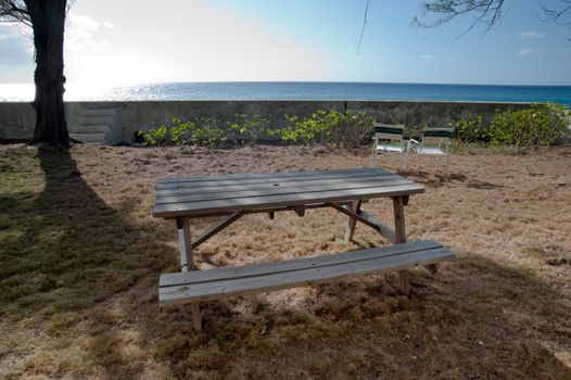 Backyard in the Caribbean