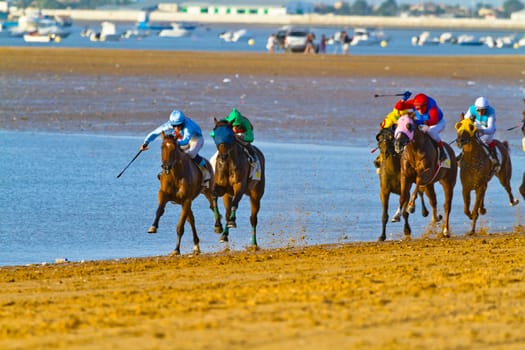 SANLUCAR DE BARRAMEDA, CADIZ, SPAIN - AUGUST 10: Unidentified riders race horses on Sanlucar de Barrameda beach on August 10, 2011 in Sanlucar de Barrameda, Cadiz, Spain.