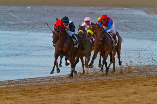 SANLUCAR DE BARRAMEDA, CADIZ, SPAIN - AUGUST 10: Unidentified riders race horses on Sanlucar de Barrameda beach on August 10, 2011 in Sanlucar de Barrameda, Cadiz, Spain.