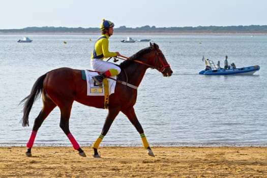 SANLUCAR DE BARRAMEDA, CADIZ, SPAIN - AUGUST 11: Unidentified rider at the start of race horses on Sanlucar de Barrameda beach on August 11, 2011 in Sanlucar de Barrameda, Cadiz, Spain.