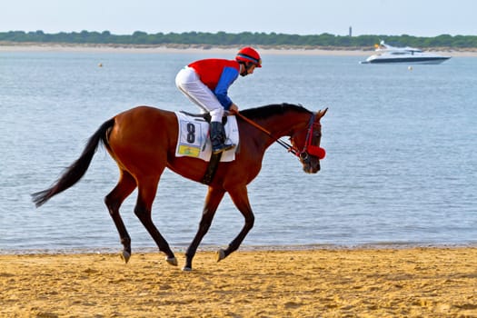 SANLUCAR DE BARRAMEDA, CADIZ, SPAIN - AUGUST 11: Unidentified rider at the start of race horses on Sanlucar de Barrameda beach on August 11, 2011 in Sanlucar de Barrameda, Cadiz, Spain.