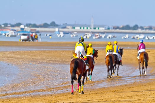SANLUCAR DE BARRAMEDA, CADIZ, SPAIN - AUGUST 11: Unidentified riders at the start of race horses on Sanlucar de Barrameda beach on August 11, 2011 in Sanlucar de Barrameda, Cadiz, Spain.
