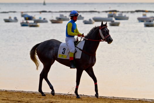 SANLUCAR DE BARRAMEDA, CADIZ, SPAIN - AUGUST 11: Unidentified rider at the start of race horses on Sanlucar de Barrameda beach on August 11, 2011 in Sanlucar de Barrameda, Cadiz, Spain.