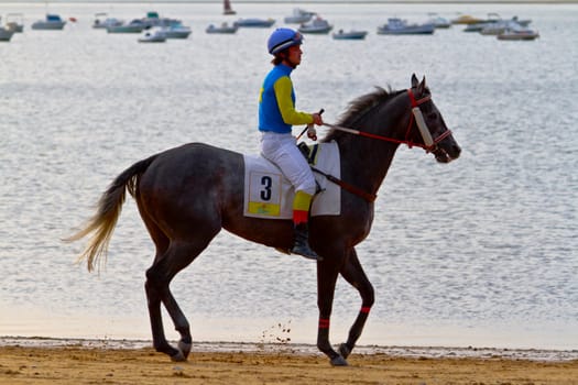 SANLUCAR DE BARRAMEDA, CADIZ, SPAIN - AUGUST 11: Unidentified rider at the start of race horses on Sanlucar de Barrameda beach on August 11, 2011 in Sanlucar de Barrameda, Cadiz, Spain.