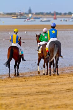 SANLUCAR DE BARRAMEDA, CADIZ, SPAIN - AUGUST 11: Unidentified riders at the start of race horses on Sanlucar de Barrameda beach on August 11, 2011 in Sanlucar de Barrameda, Cadiz, Spain.