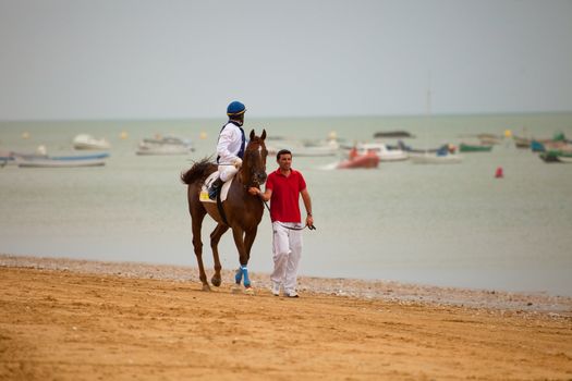 SANLUCAR DE BARRAMEDA, CADIZ, SPAIN - AUGUST 07: Unidentified rider at the start of race horses on Sanlucar de Barrameda beach on  August 07, 2010 in Sanlucar de Barrameda, Cadiz, Spain.