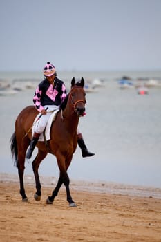 SANLUCAR DE BARRAMEDA, CADIZ, SPAIN - AUGUST 07: Unidentified rider at the start of race horses on Sanlucar de Barrameda beach on  August 07, 2010 in Sanlucar de Barrameda, Cadiz, Spain.