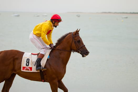 SANLUCAR DE BARRAMEDA, CADIZ, SPAIN - AUGUST 07: Unidentified rider at the start of race horses on Sanlucar de Barrameda beach on  August 07, 2010 in Sanlucar de Barrameda, Cadiz, Spain.