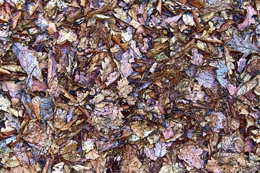 A close-up of surface of a stone on seacoast.