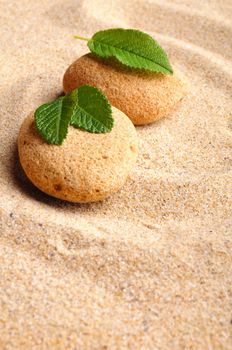 zen stone garden and leaf on sand showing spa concept