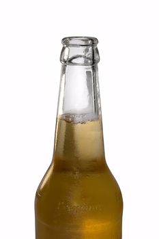 Bottle of beer on white