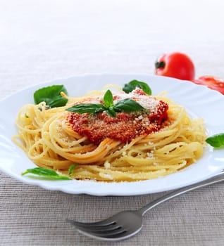 Big plate of pasta with tomato sauce and parmesan