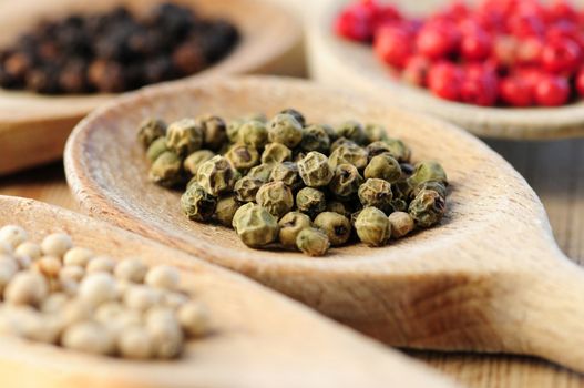 Four kinds of peppercorns in wooden cooking spoons macro