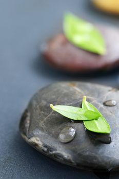 Zen stones submerged in water with green leaves