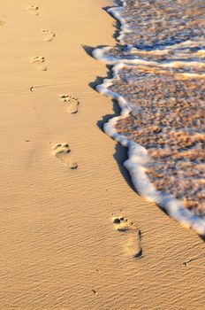Tropical sandy beach with footprints and ocean wave