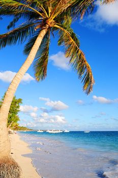 Tropical sandy beach with palm trees and fishing boats