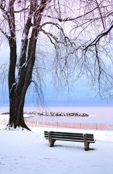 Winter park with a bench covered with snow. Beach area, Toronto, Canada.