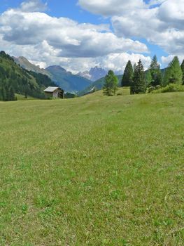 green grass in mountain landscape
