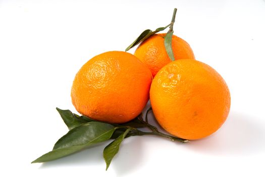 orange isolated on white background