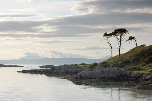 Trees by bay at Arisaig looking west toward the island of Skye, Scotland, midsummer