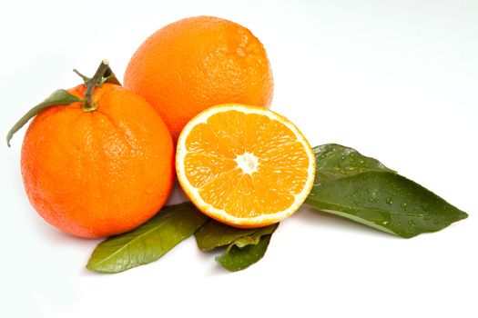 orange isolated on white background