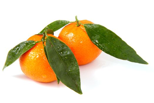 mandarin isolated on a white