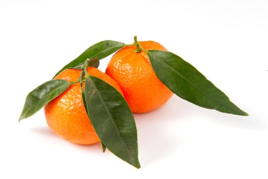 mandarin isolated on a white