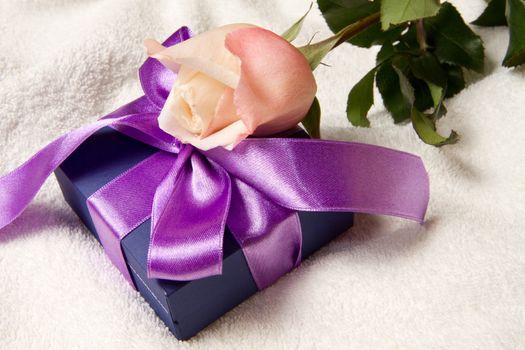 Rose and Gift box