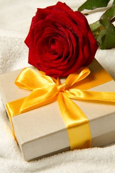 Rose and Gift box