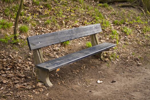 bench in the park. wooden shabby. on legs