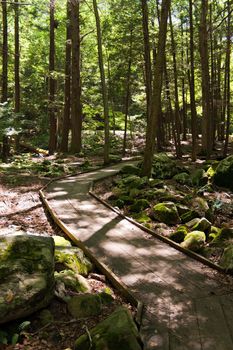 A community walking path that goes through the woods in Kettletown State Park Southbury Connecticut United States.