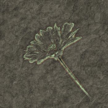 An image of a nice petrified flower