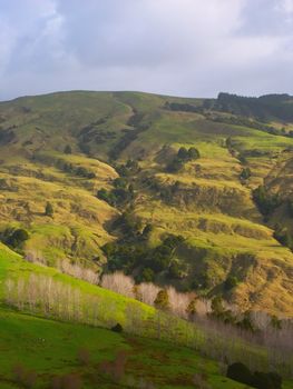 View of the hilly terrain of the North Island of New Zealand.