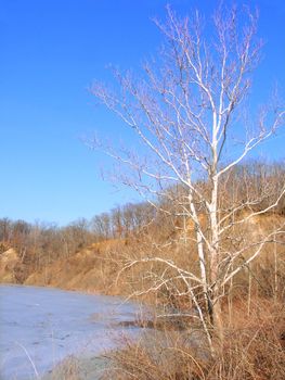 View of ice-covered Emerald Pond at Kickapoo State Park - Illinois.