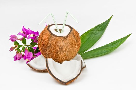 Coconut fruit isolated on white background