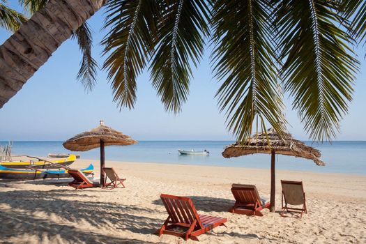 Palm tree on the beach, deckchairs, umbrellas, canoe and boats