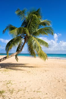 Tropical beach landscape from Sainte-Marie island, Madagascar