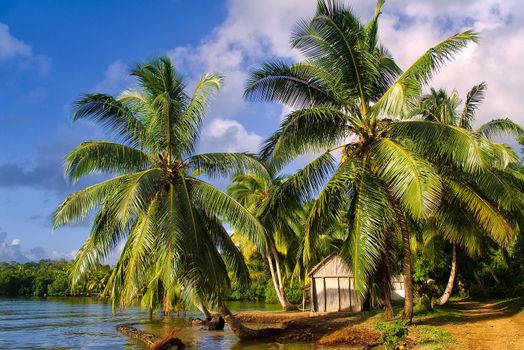 Tropical beach landscape from Sainte-Marie island, Madagascar