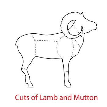 Cuts of Lamb and Mutton.Pattern diagram