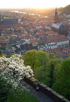 The view over the Medieval City of Heidelberg from it's historic Castle.