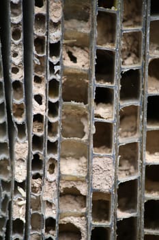 The layers of a hive.